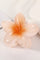 Hulu Claw | Creme | Haarspange von By Timm
