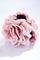 Rose Hair Claw | Pink | Hårspænde fra By Timm