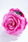 Rose Hair Claw | Fuchsia | Hårspænde fra By Timm