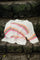 Minna Striped S/S Jumper | White Neon | Top fra Black Colour