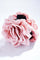 Rose Hair Claw | Pink | Hårspænde fra By Timm
