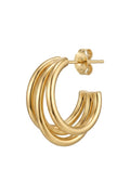 E6733 Golden | Ørering fra Birdsong