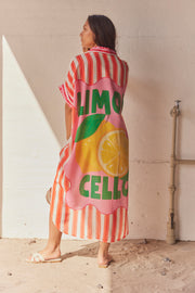 Lemonciello Shirt Dress | Orange | Kjole fra Atelier C