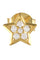 Hiro Stjerne | Guld | Lille ørestik med stjerne fra Coi (1 stk)