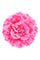 Julita 2-In-1 Brooch Pin Flower | Exotic Pink | Hårspænde fra Black Colour